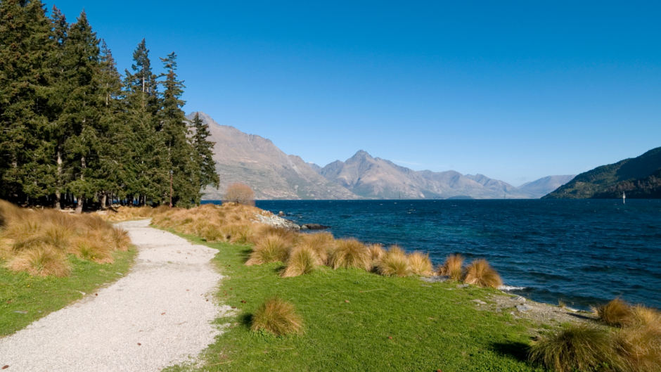 Explore the Stunning beauty of Queenstown at your own pace with our Brand NEW Electric Scooters, including door to door drop off and pickup service!